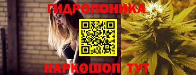 mdpv Дубна