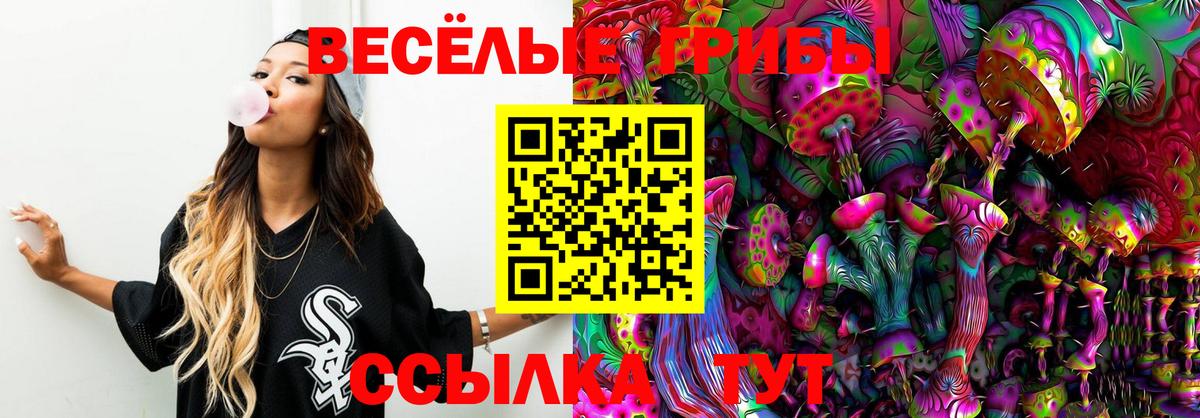 Галлюциногенные грибы мицелий  Псилоцибиновые грибы ЛСД  Воткинск  Вход с VPN 